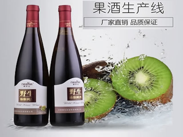 果酒生產設備 果酒生產（chǎn）線