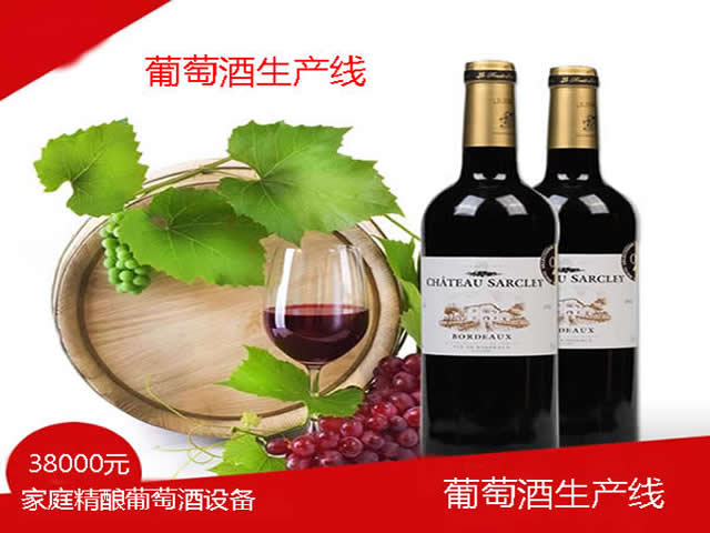 <b>葡（pú）萄酒生產線 釀葡（pú）萄酒設備</b>