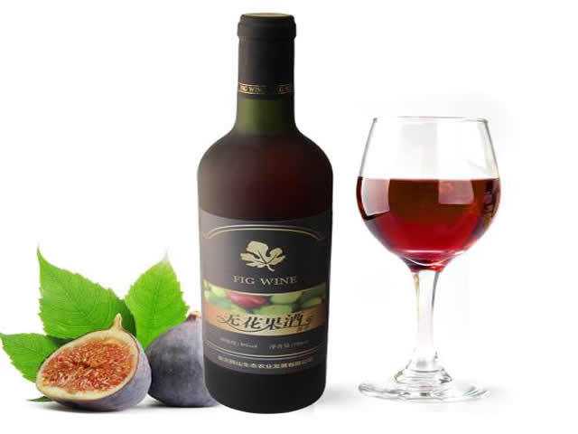 無花果 獼猴桃酒生產設備